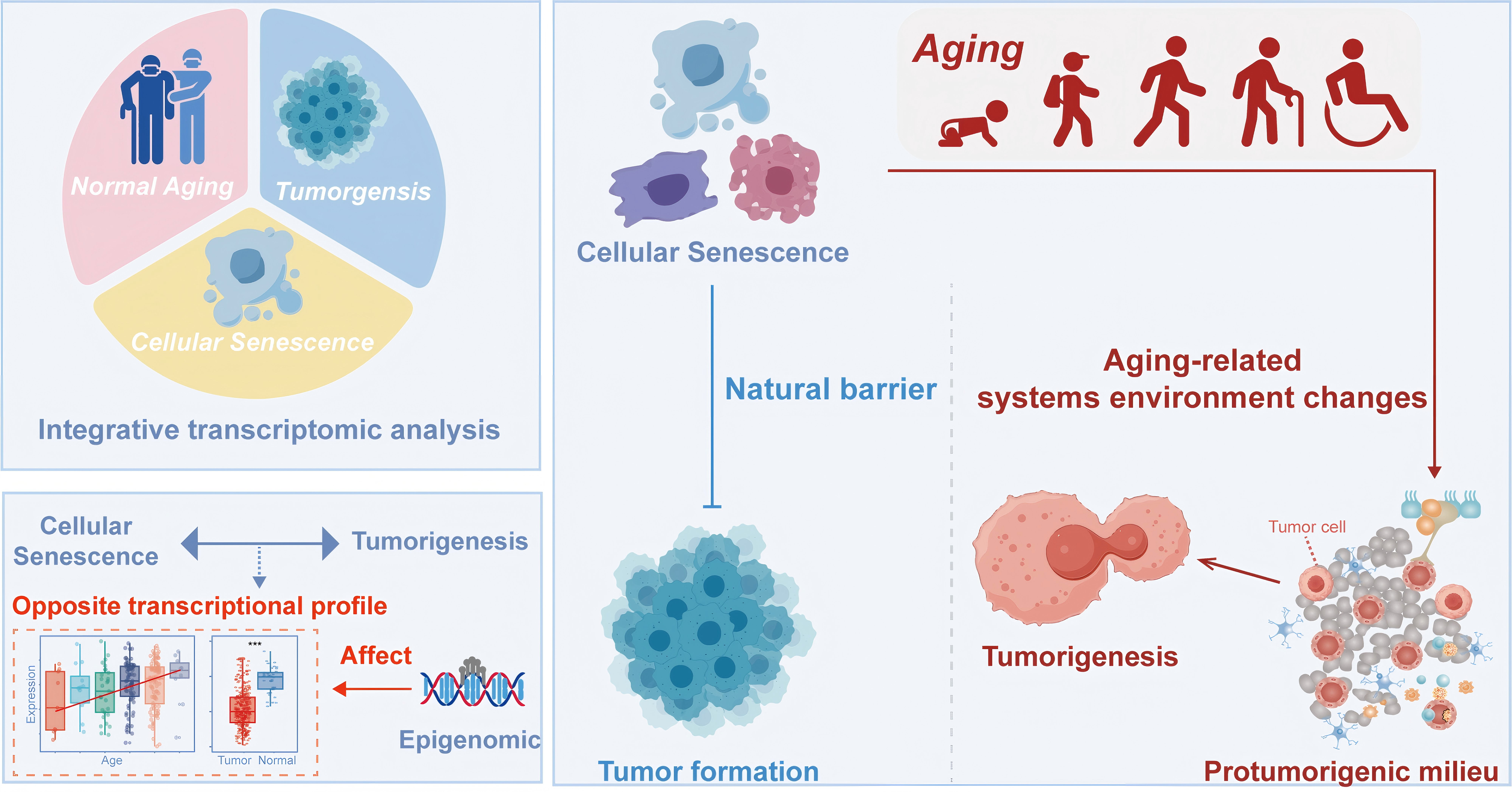 Research paper publication