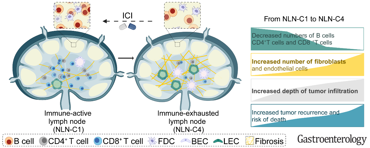 Nature Communications publication