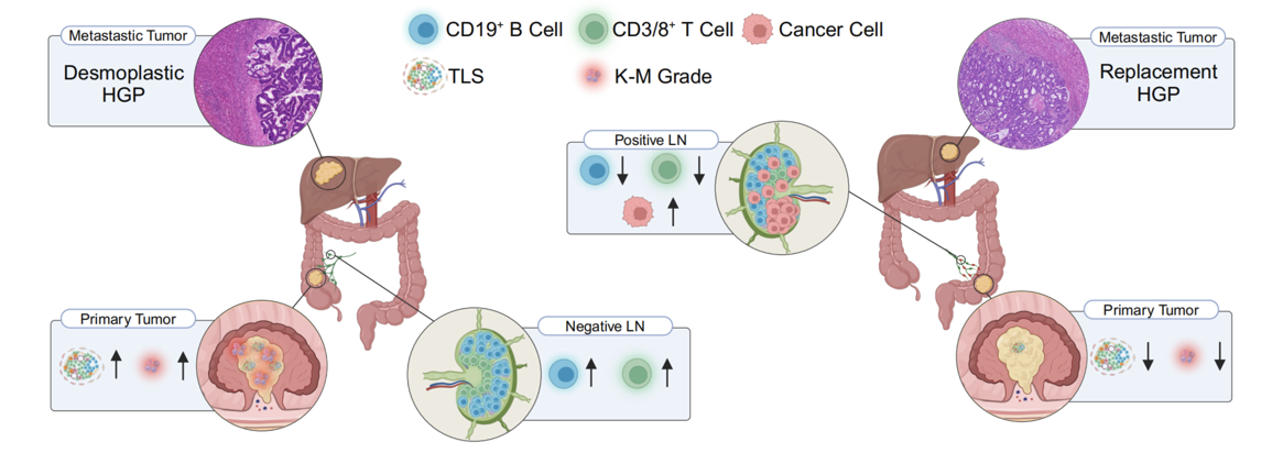 British Journal of Cancer publication